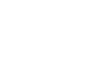 VEERA_Vtunnus_nega