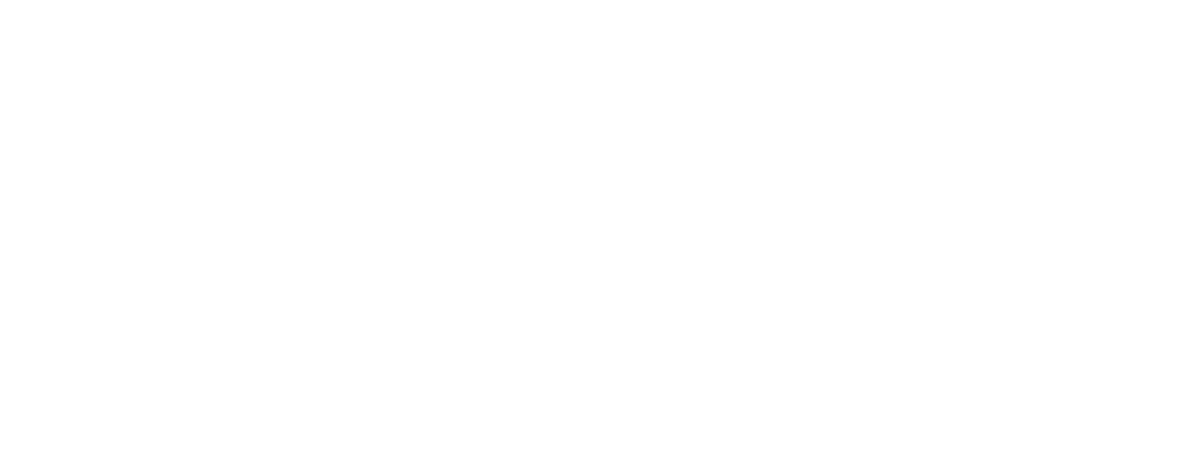 mentorit_nega